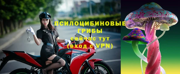спайс Аркадак